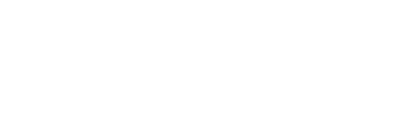 SecurityLit Logo